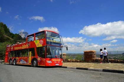Jo'burg Hop-On Hop-Off Bus Tour with Apartheid Museum & Soweto