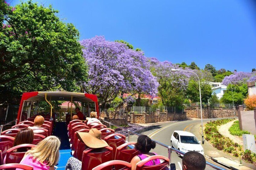 The leafy Nothern Suburbs