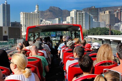 Cape Town Hop-On Hop-Off Bus Tour with Optional Cruise