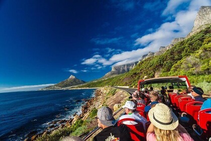 Cape Town Hop-On Hop-Off Bus Tour with Optional Cruise