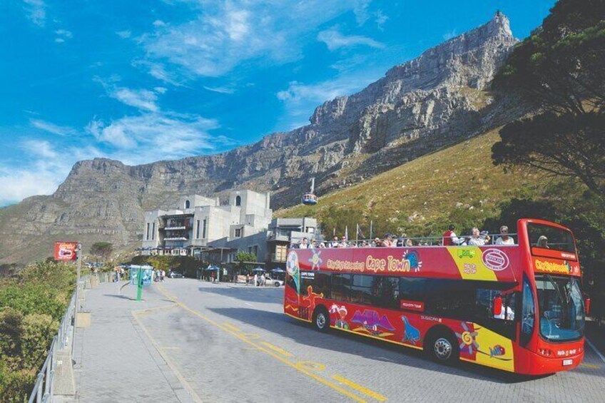 Cape Town Hop-On Hop-Off Bus Tour with Optional Cruise