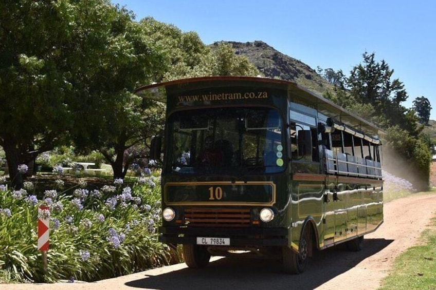 Tram and Tram buses