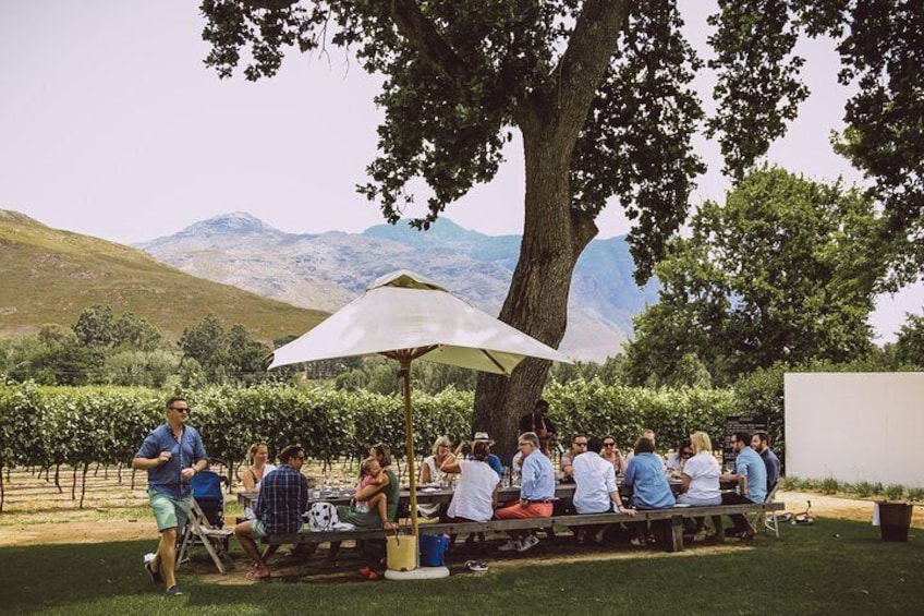 Lunch at one of the estates