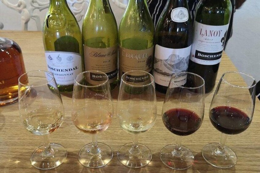 Enjoy Wine tasting