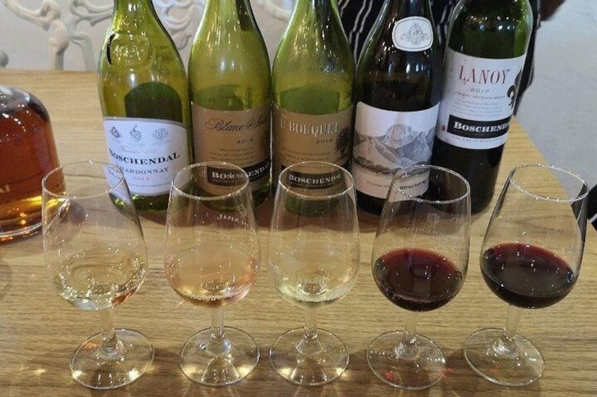 Enjoy Wine tasting