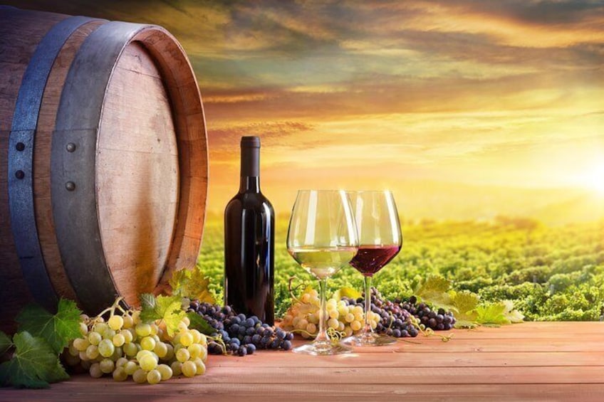 Wine Tour