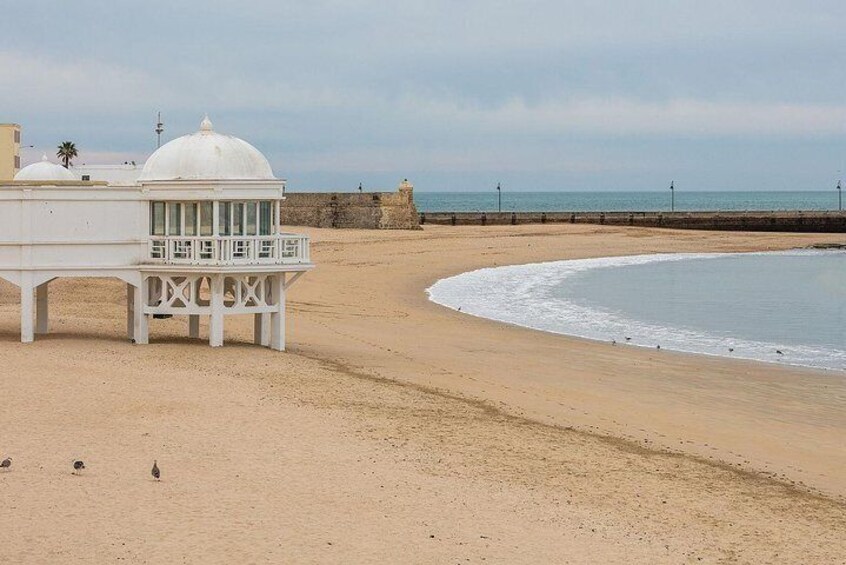 Private Walking Tour of Cadiz: includes Tavira Tower