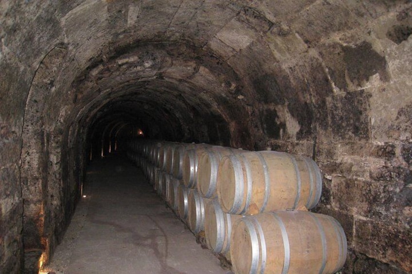 Guided Wine Day Tour to Ribera del Duehttps://media-cdn.tripadvisor.com/media/attractions-splice-spp-720x480/07/a3/fd/03.jpgro from Madrid