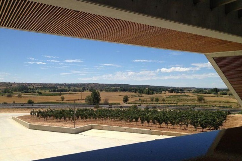 Discover Ribera del Duero