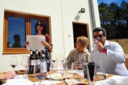 Rondleiding door wijnhuizen Ribera del Duero en wijnproeverij vanuit Madrid