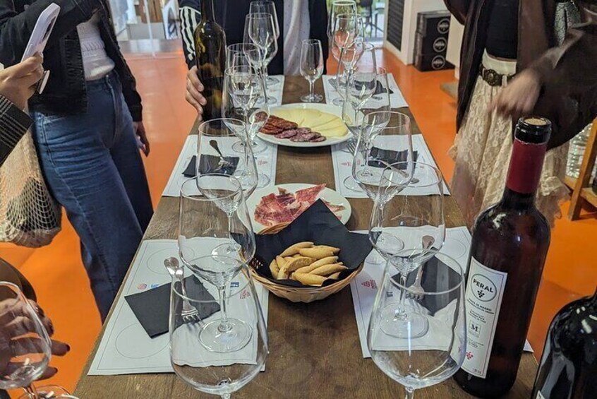 Madrid Wine Tour for Wine Lovers