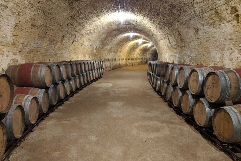 The perfect tour to discover Madrid and Spain Wine