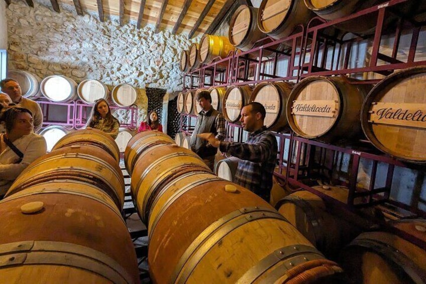 Madrid Wine Tour for Wine Lovers