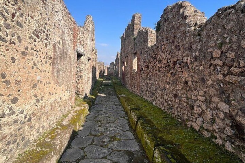 Rome to Pompeii Tour with Wine and Lunch by High Speed Train