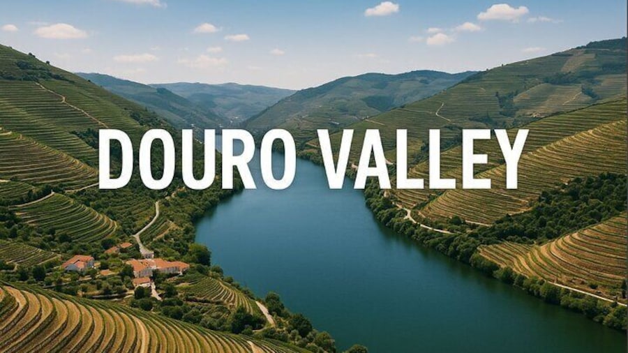 DOURO VALLEY: 2 boutique wineries, lunch & 1-h boat tour