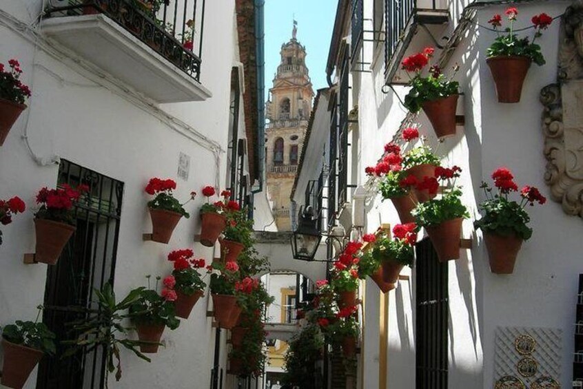 ''Calleja de las flores'' is a narrow street full of flowers and life