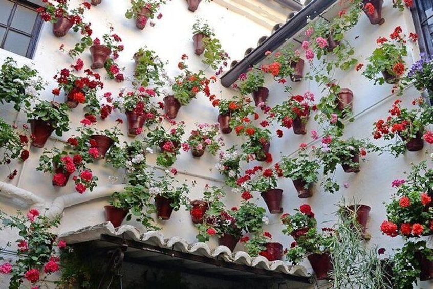 Imagine watering all of these flowerpots!!!