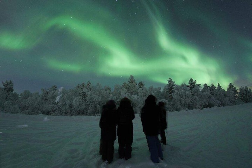 Northern Lights Hunting By Minivan, Small Group Adventure