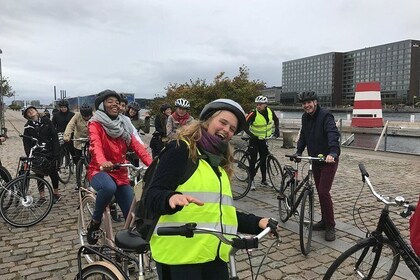 The sustainable city and you (Copenhagen)