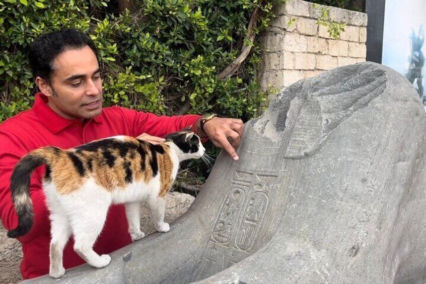 From Cairo: Alexandria Catacomb, Lighthouse, Citadel Trip & Lunch