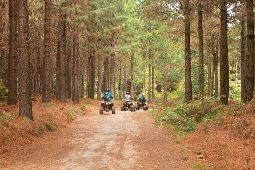 Most Exciting Adventurous Activities and the Only Quadbike Tours in Tsitsikamma