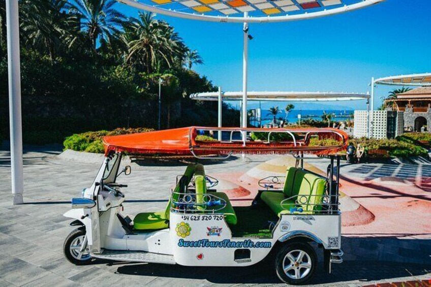 Doble Tuk Tuk Tour in Costa Adeje