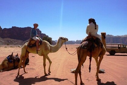 Best of Wadi Rum