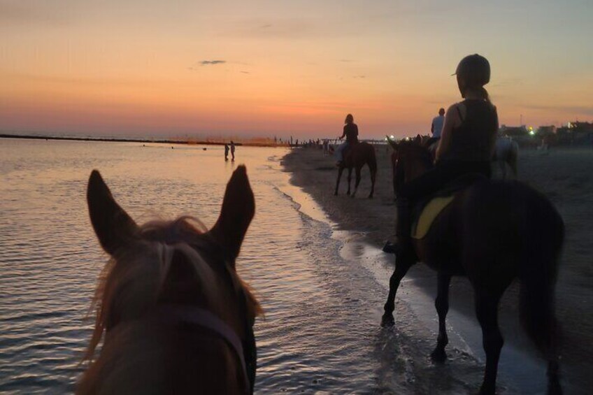 Rome: Private Horseback Riding Experience on the Beach