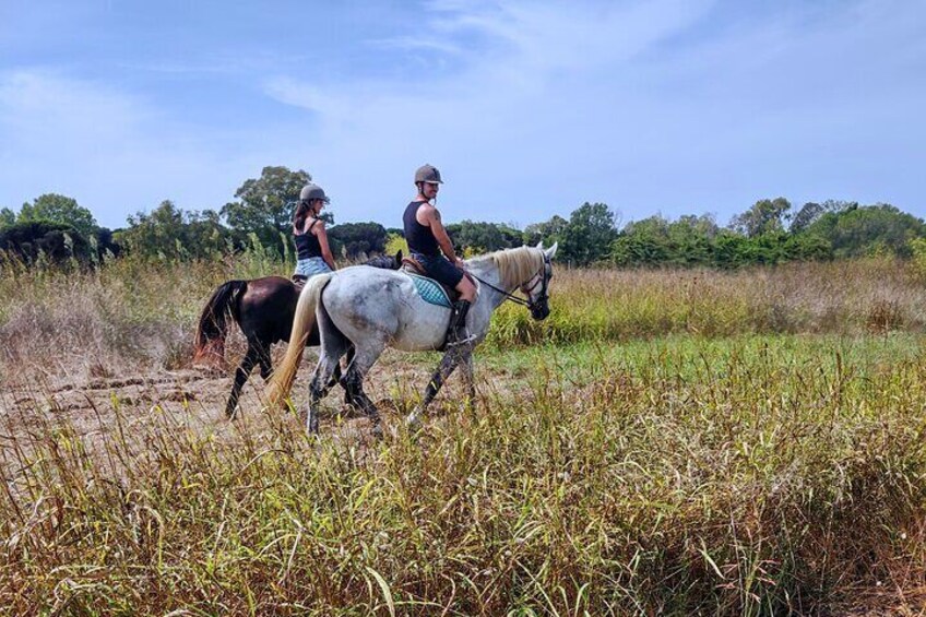 Horse Riding Trail with Breakfast in Ancient Rome