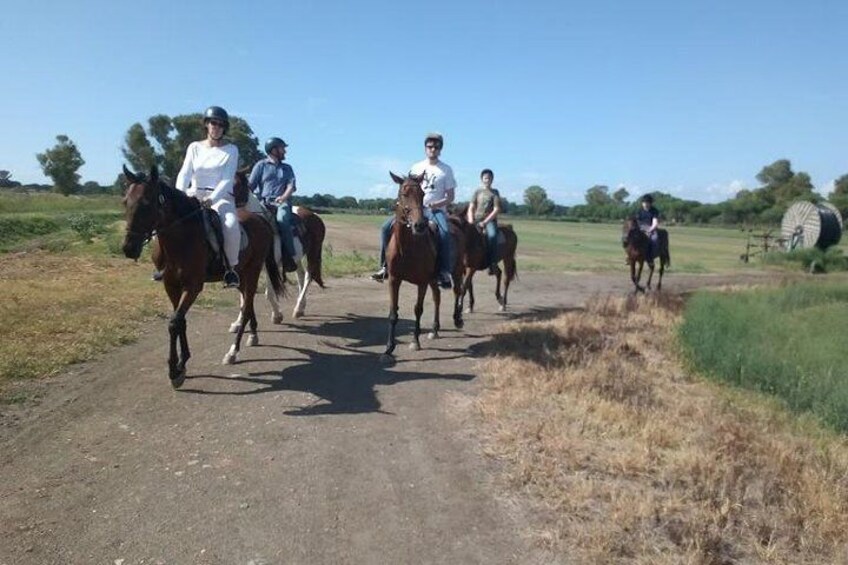 Picnic on horseback in Rome