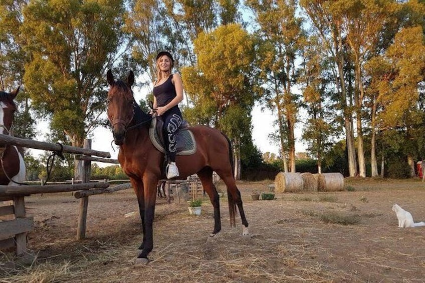 Picnic on horseback in Rome