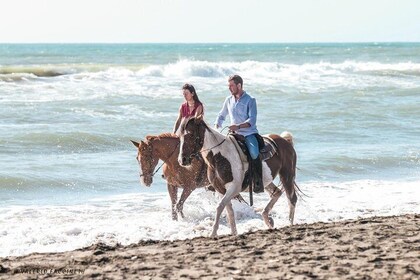 Horse Day in Ancient Rome