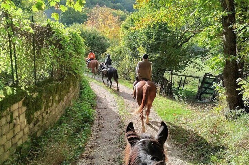 Horse Day in Ancient Rome