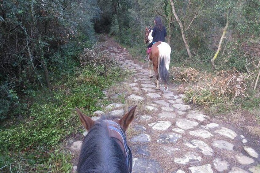 Discovering the path of Ancient Roman long the Severiana road