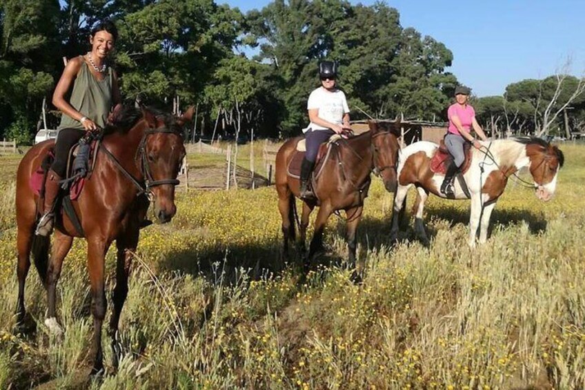 Horse Day in Ancient Rome