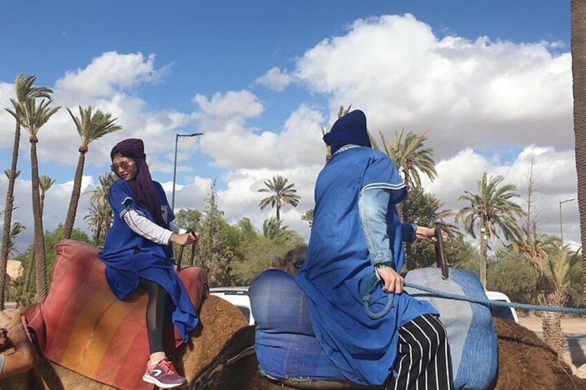 Marrakech Camel Ride Experience with Pick-up