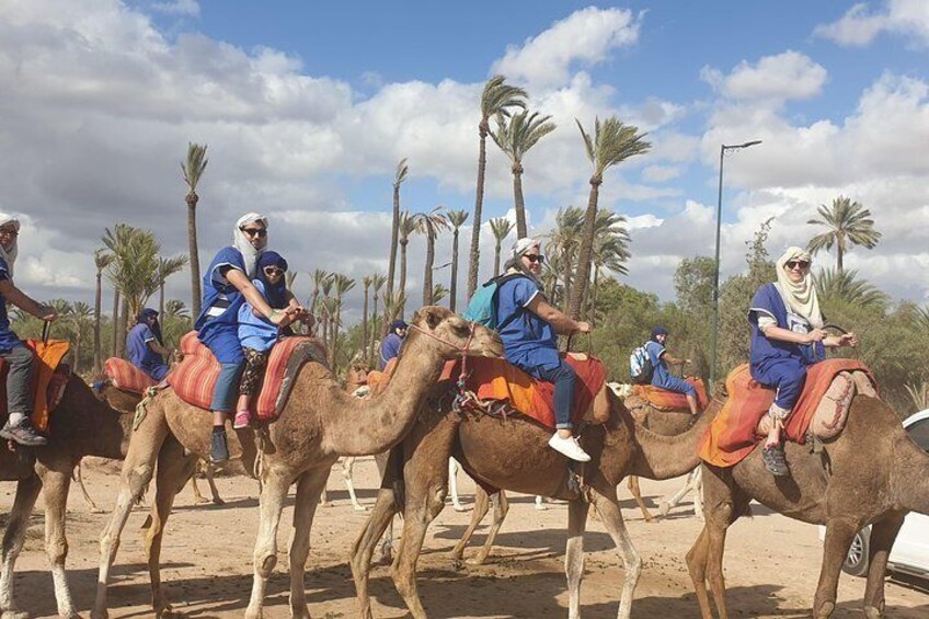 Marrakech Camel Ride Experience with Pick-up