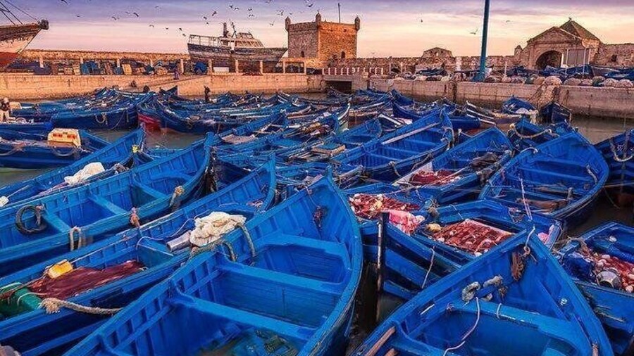 essaouira