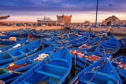 Best shared day trip to Essaouira from Marrakech