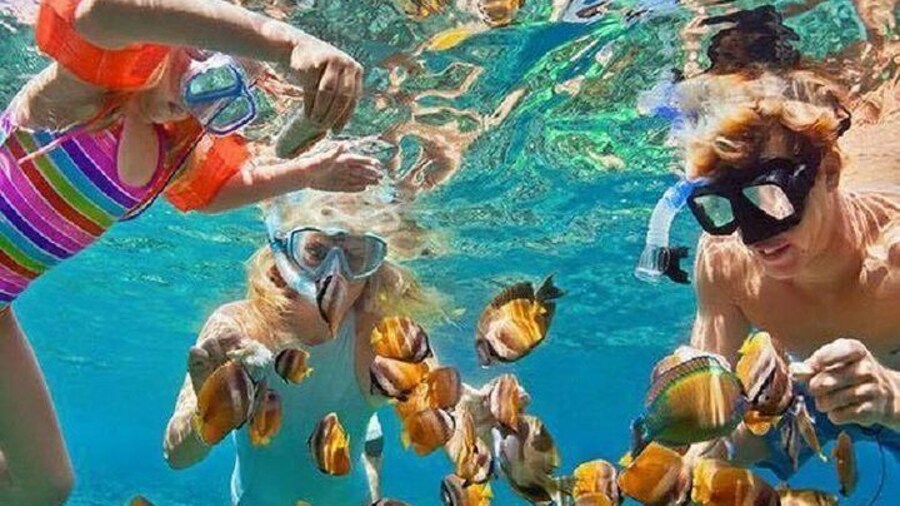 Bali Snorkeling at Blue Lagoon with Transport and Lunch