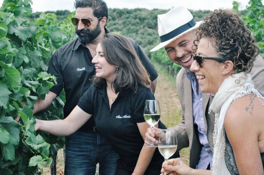 A walk through the vineyards. 