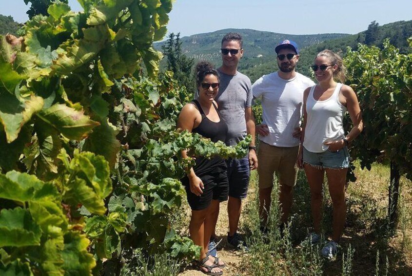 Half-Day Small-Group Wine Tour in Chania