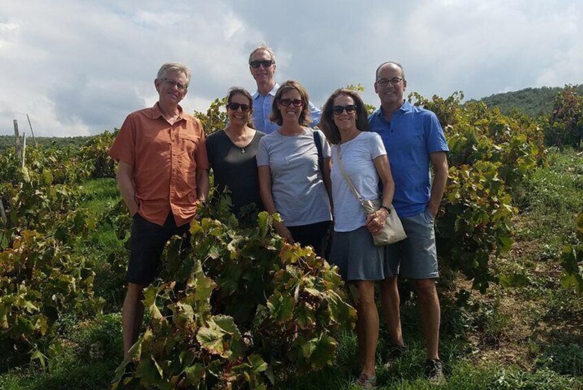 Half-Day Small-Group Wine Tour in Chania