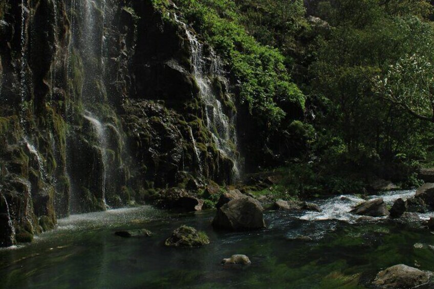 Dashbashi Canyons