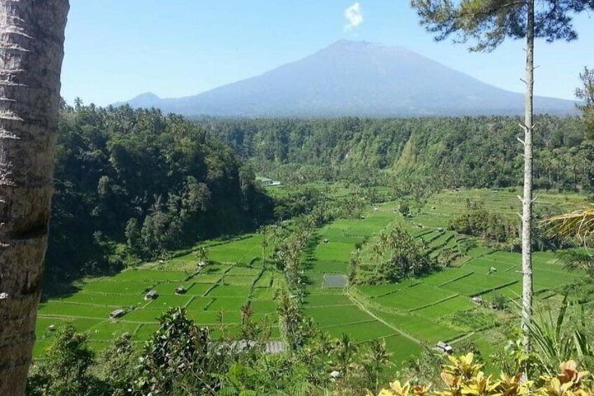 Tukad Cepung Waterfall - Tirta Gangga - Lempuyang Private Guided Tour Free WiFi