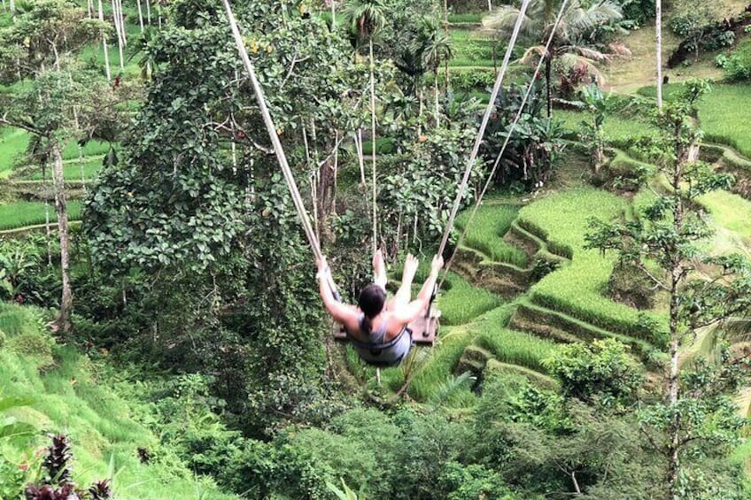 Jungle swing 