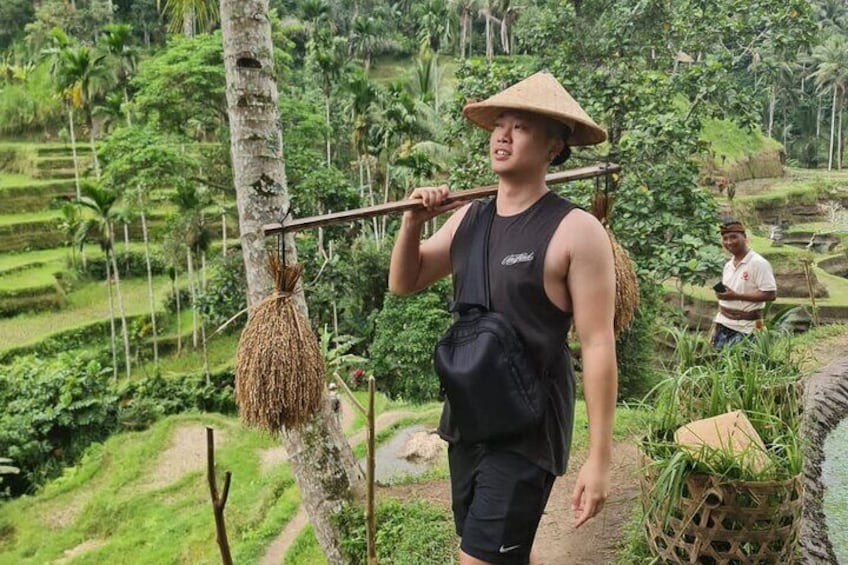 The rice terrace