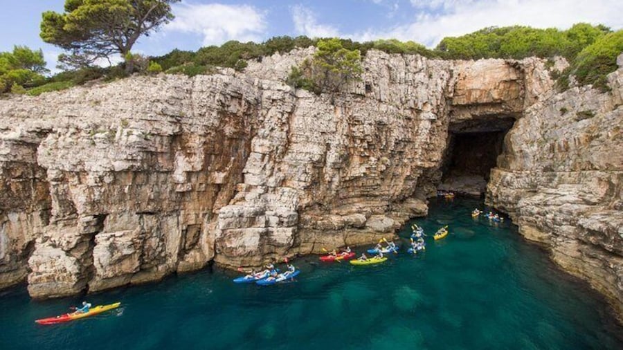 Half day kayaking tour