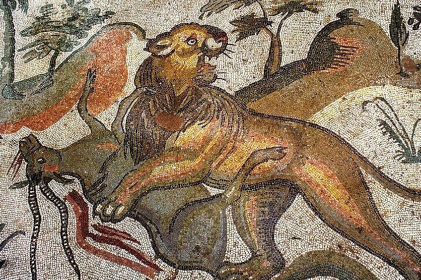 A detail of the mosaic at the Roman Villa