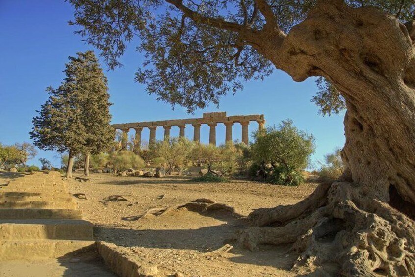 Valley of the Temples in Agrigento